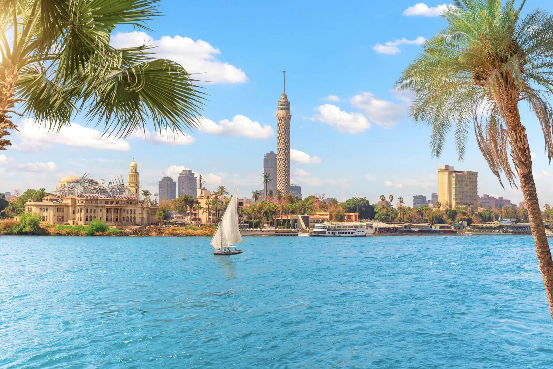 New Cairo City - REVIV